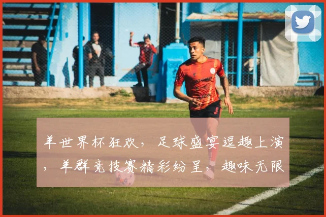 羊世界杯狂欢，足球盛宴逗趣上演，羊群竞技赛精彩纷呈，趣味无限