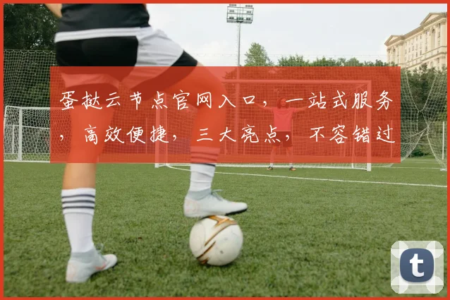 蛋挞云节点官网入口，一站式服务，高效便捷，三大亮点，不容错过，立即体验