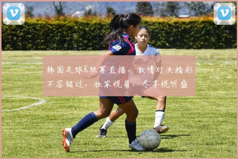 韩国足球K联赛直播，激情对决精彩不容错过，独家视角，尽享视听盛宴，锁定直播间