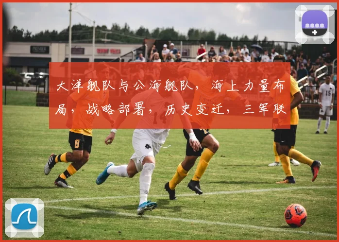 大洋舰队与公海舰队，海上力量布局，战略部署，历史变迁，三军联动，海权争夺