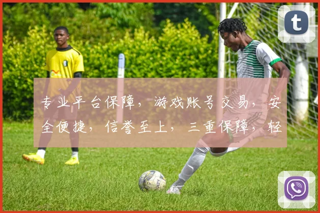 专业平台保障，游戏账号交易，安全便捷，信誉至上，三重保障，轻松成交